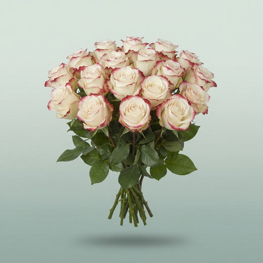 FeedSync:wholesale:ffe57989f6ec56d5b1b799cc6d943e6d0b5633c4