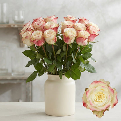 FeedSync:wholesale:8827659e8acbc1b034351e8b476177b877e1db57