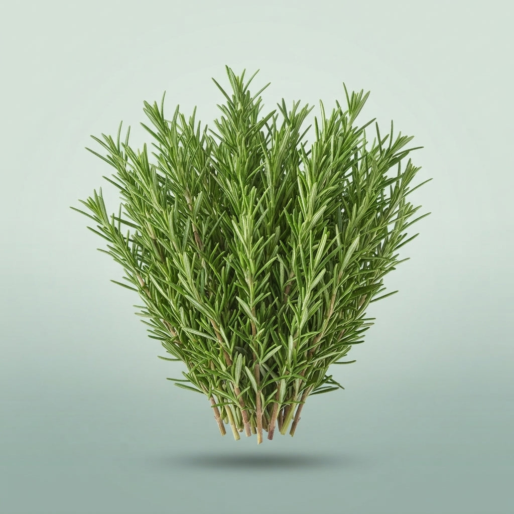 FeedSync:wholesale:b426da46770a0eb5cb585a11d6ccca24fe7ee600