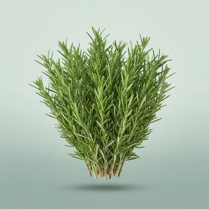 FeedSync:wholesale:b426da46770a0eb5cb585a11d6ccca24fe7ee600
