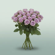 FeedSync:wholesale:d7d8ad2fde5774664b58ec75f80b0b42000d1e6b