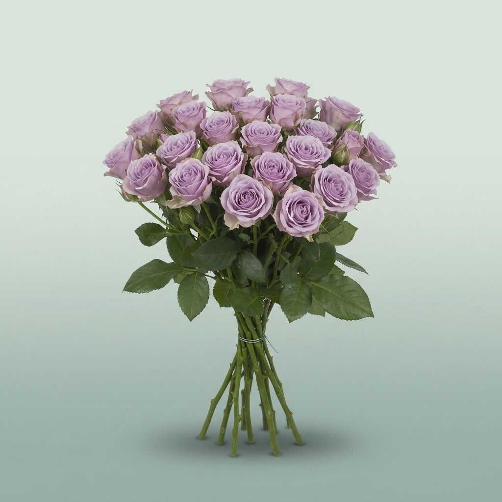FeedSync:wholesale:d7d8ad2fde5774664b58ec75f80b0b42000d1e6b