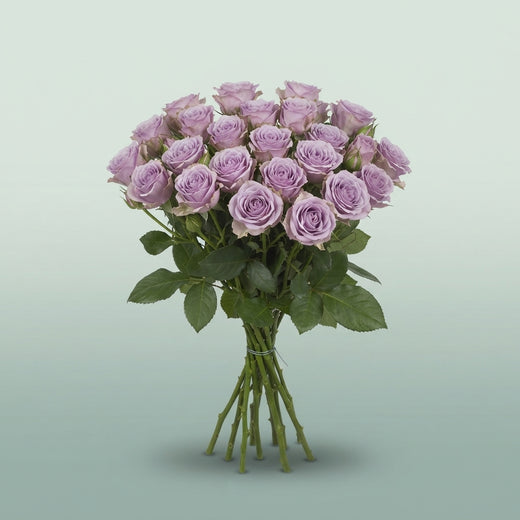 FeedSync:wholesale:d7d8ad2fde5774664b58ec75f80b0b42000d1e6b