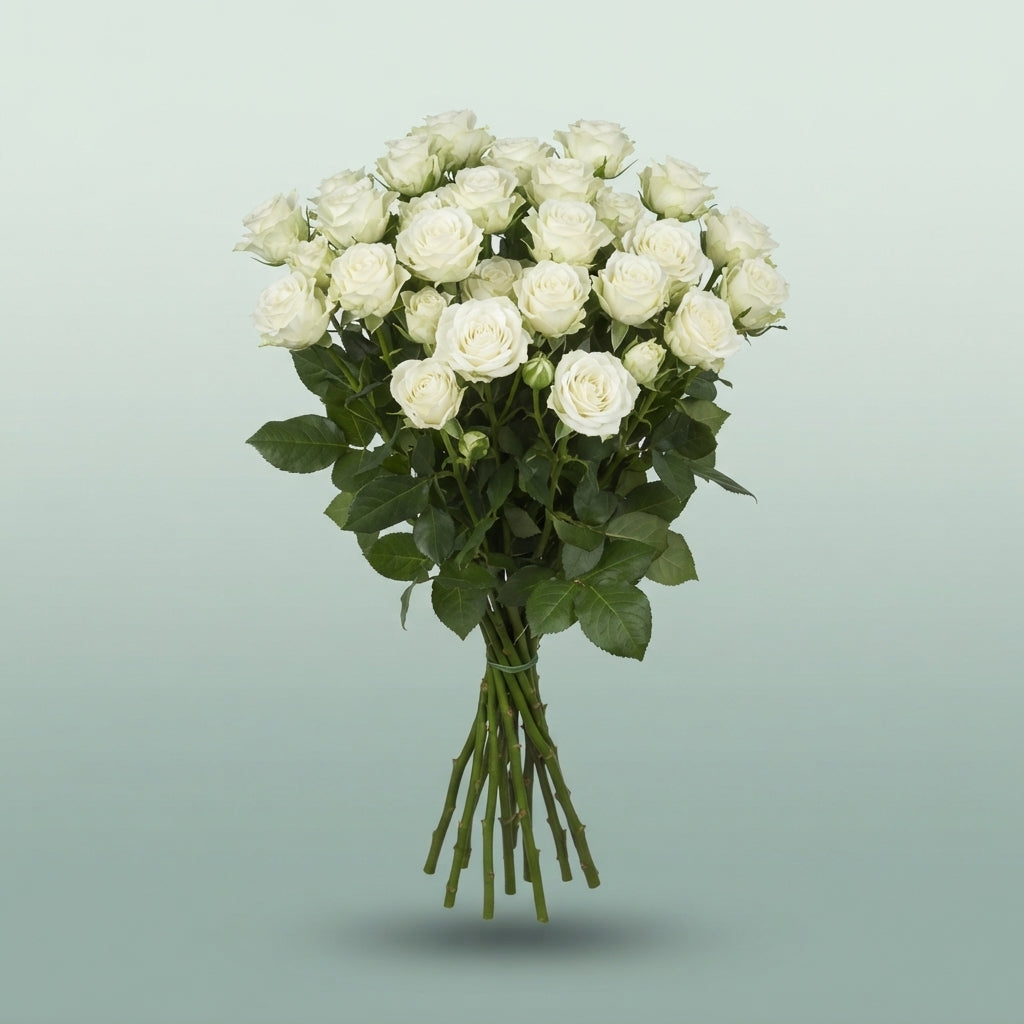 FeedSync:wholesale:29e7f13aa02351f969f5d12d2e9bcdd8e652bfc2
