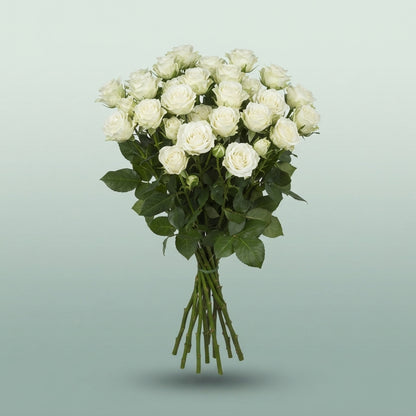FeedSync:wholesale:29e7f13aa02351f969f5d12d2e9bcdd8e652bfc2