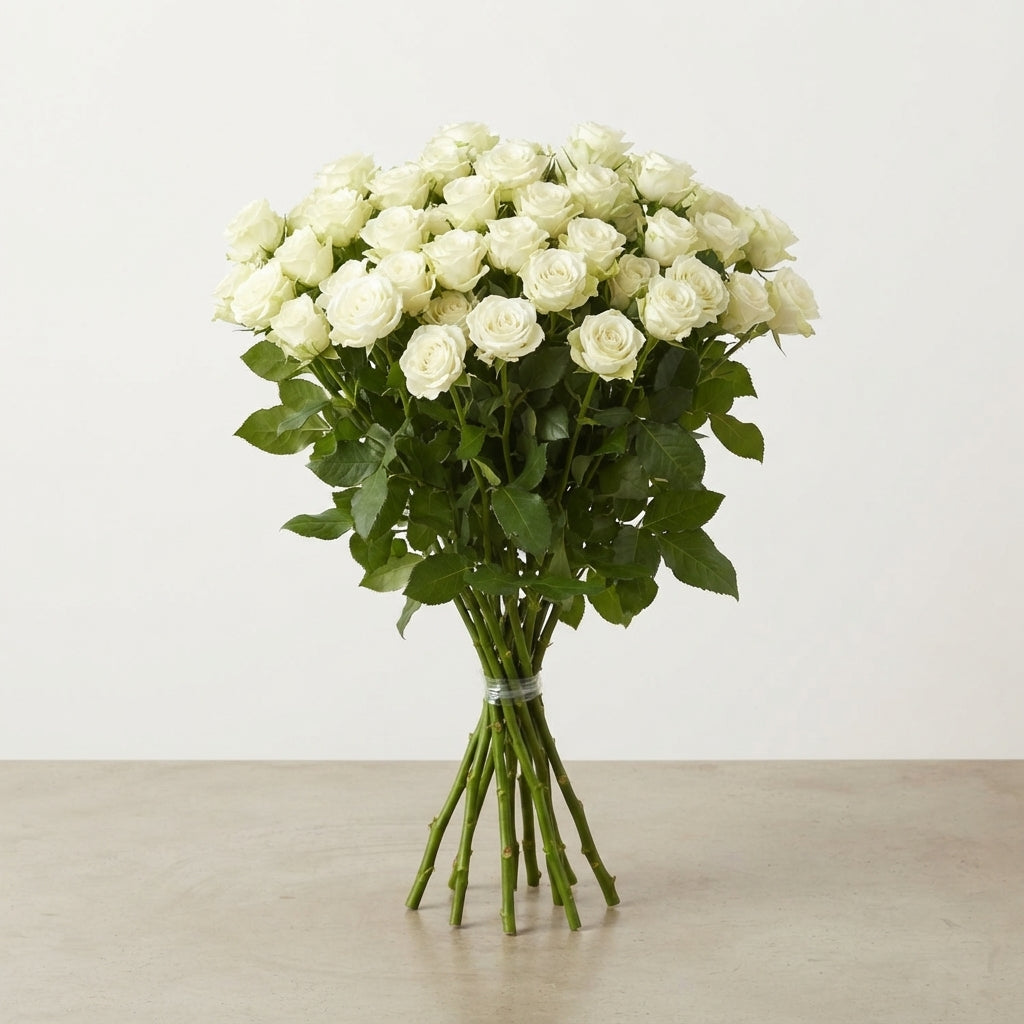 FeedSync:wholesale:1580156694682483fc2a46b584822a3e7c5cafde
