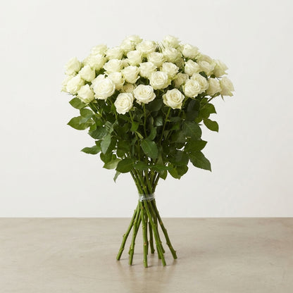FeedSync:wholesale:1580156694682483fc2a46b584822a3e7c5cafde
