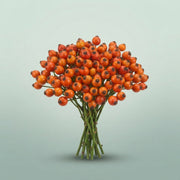 FeedSync:wholesale:0cce1f91cfcea62d97eea51ed4e190ef3b175048
