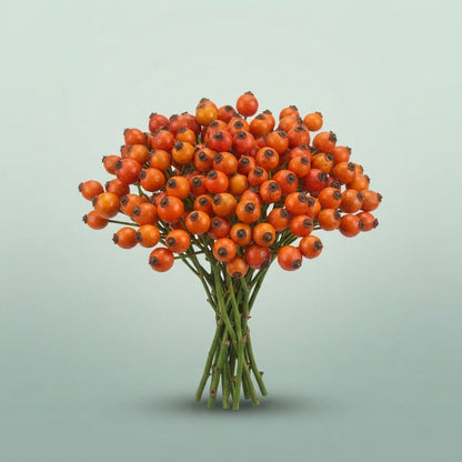 FeedSync:wholesale:0cce1f91cfcea62d97eea51ed4e190ef3b175048