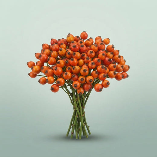 FeedSync:wholesale:0cce1f91cfcea62d97eea51ed4e190ef3b175048