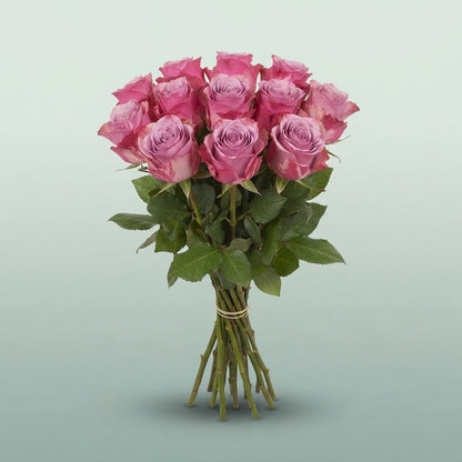 FeedSync:wholesale:6b66646d0213e64e081cf4ad01b5c3fb208f05a3