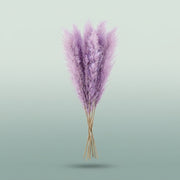 FeedSync:wholesale:37d6066e6b724a6ed5337715ddd4168af9132d82