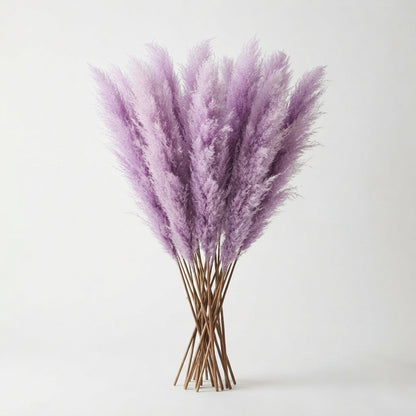 FeedSync:wholesale:72e85f9c3618327d721bc2902dc4a24cfb3a4962