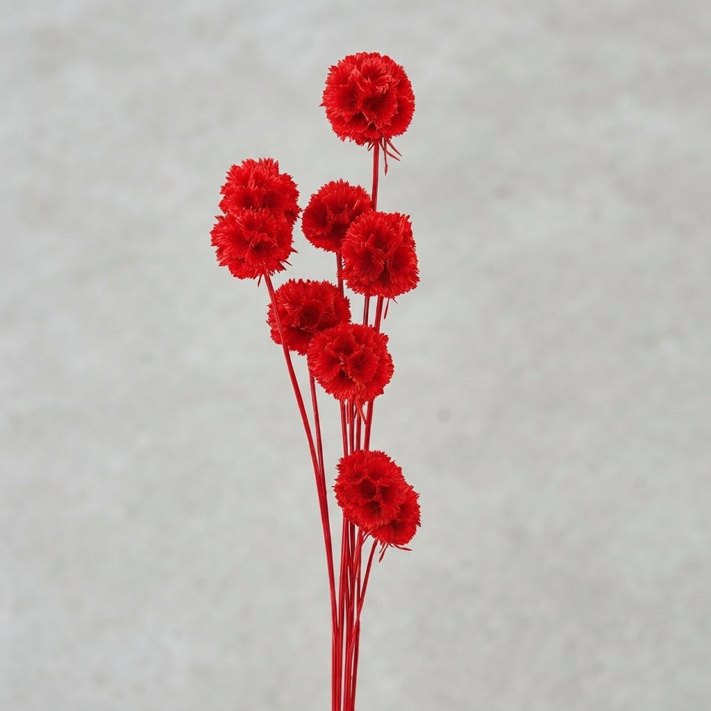 FeedSync:wholesale:b0304ba308f9e49c3ce9657d310327171dd80c39