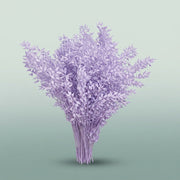 FeedSync:wholesale:9fe0563d1d003ba07d81e9e6fdfa68bb44bdaf6c