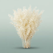 FeedSync:wholesale:c66bb5c1b4dfef5c8290fde54a14cf2f19bb7bd8