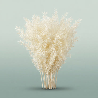 FeedSync:wholesale:c66bb5c1b4dfef5c8290fde54a14cf2f19bb7bd8
