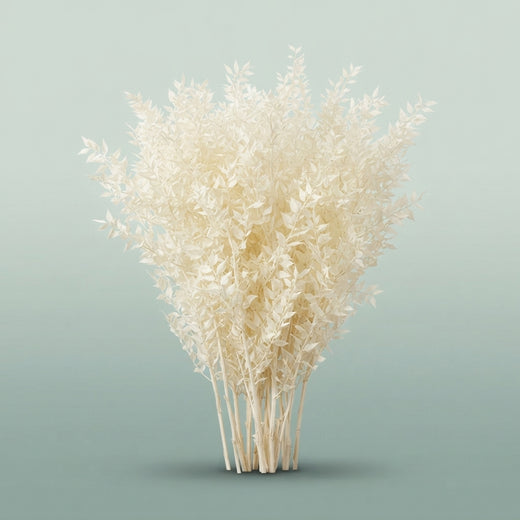 FeedSync:wholesale:c66bb5c1b4dfef5c8290fde54a14cf2f19bb7bd8