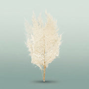 FeedSync:wholesale:a0d55f7a505690a3181a78a709082f7b768ca99b