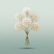 FeedSync:wholesale:e8ddf8ce2c15aa5fa33531a2a6ff3236d381ca0b