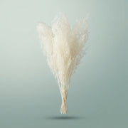 FeedSync:wholesale:d340b8e64451a79653dbc10e0fc2f43e4ce981d1