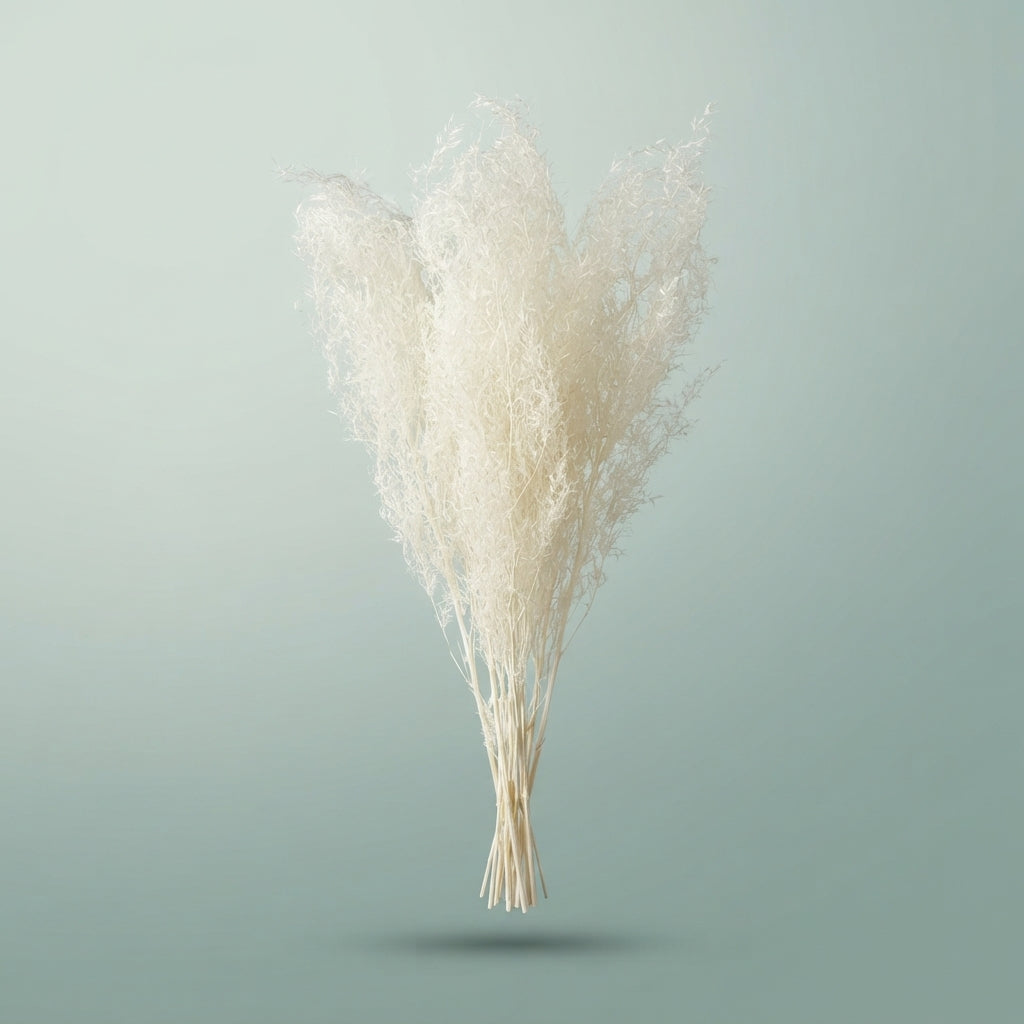 FeedSync:wholesale:d340b8e64451a79653dbc10e0fc2f43e4ce981d1