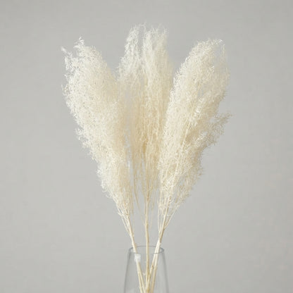 FeedSync:wholesale:5715d02a30c389ed22c6b082a292966b90a5bc74