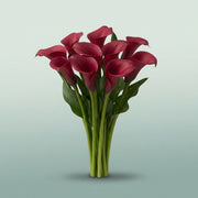 FeedSync:wholesale:ffef66f44e06b8ad263beb6f7aff3bd021438b9a
