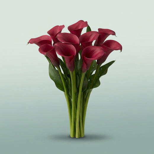 FeedSync:wholesale:ffef66f44e06b8ad263beb6f7aff3bd021438b9a