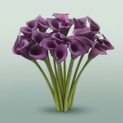 FeedSync:wholesale:d07479555ce6a288939e1d685015c332ca91a867