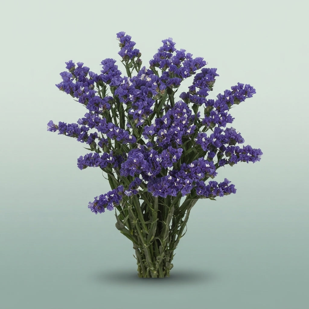FeedSync:wholesale:ad3d2141569d2e6afc24728b05361e465403e41b