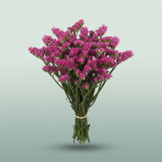 FeedSync:wholesale:3b864b20219b17a454816953ba208c8a86b38cbf