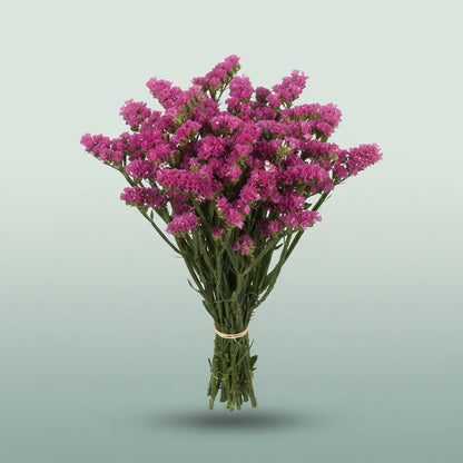 FeedSync:wholesale:3b864b20219b17a454816953ba208c8a86b38cbf