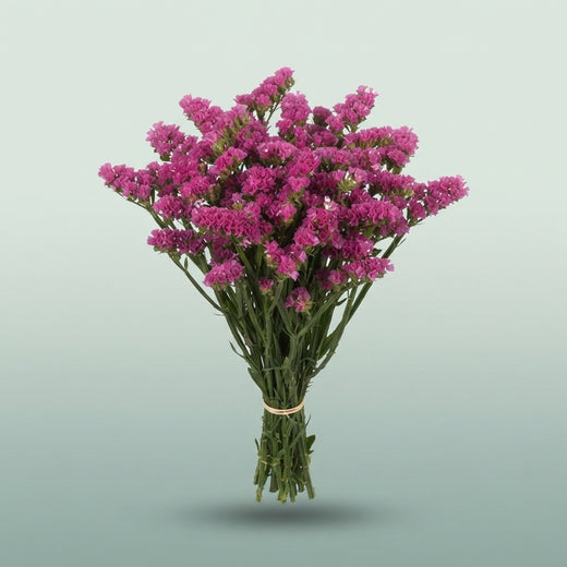 FeedSync:wholesale:3b864b20219b17a454816953ba208c8a86b38cbf