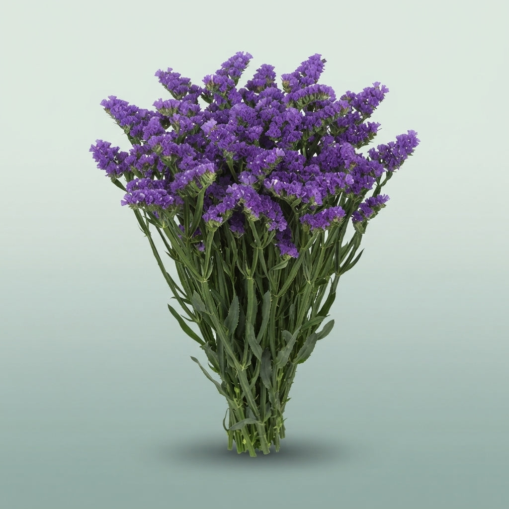 FeedSync:wholesale:346e0756991ee28b4091d4e66c6769b00c6e1017