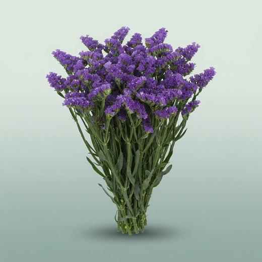 FeedSync:wholesale:346e0756991ee28b4091d4e66c6769b00c6e1017