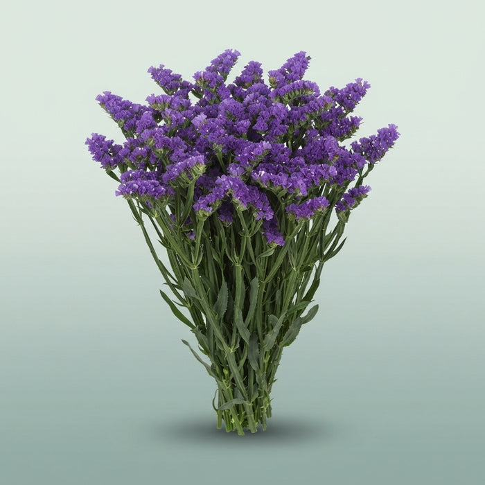 FeedSync:wholesale:346e0756991ee28b4091d4e66c6769b00c6e1017