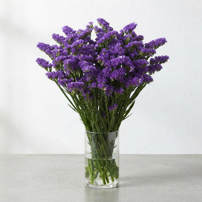 FeedSync:wholesale:6e5642e90479a9e575cfb4d5d2b7b3bc04e2aa8b