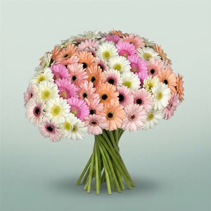 FeedSync:wholesale:b25116e3975a65dbef04cc01279f874d19118537