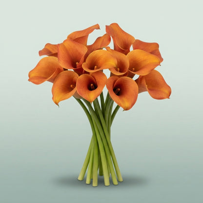 FeedSync:wholesale:090fd42bd9f39694d1bda429181424802ccd32f0