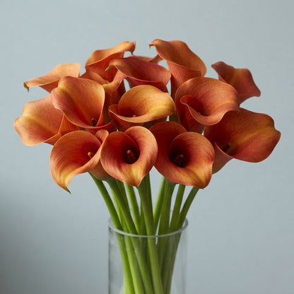 FeedSync:wholesale:e932641eb5c8d4f8f0eba734bdb6259a76bc35f5