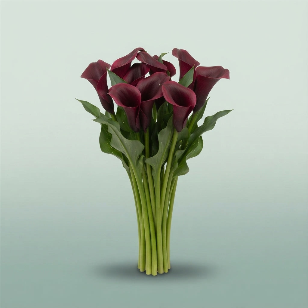 FeedSync:wholesale:e415e78a0cb61b4c9d10e3a04e1080ca4f12216d