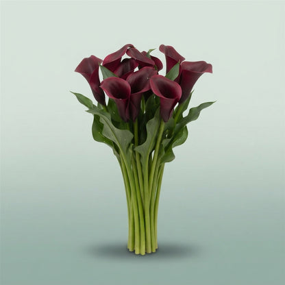 FeedSync:wholesale:e415e78a0cb61b4c9d10e3a04e1080ca4f12216d