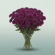 FeedSync:wholesale:4a9c5146354dc5327184b514d094e5808d0bfc7c