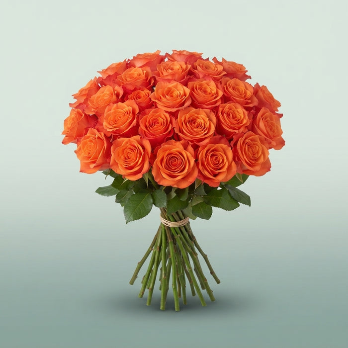 FeedSync:wholesale:babb1436028f5e465825594465510c37445551f8