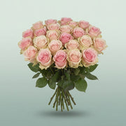 FeedSync:wholesale:0fb5114421de05ef1386805c433acb95d964085f