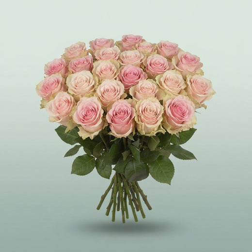 FeedSync:wholesale:0fb5114421de05ef1386805c433acb95d964085f