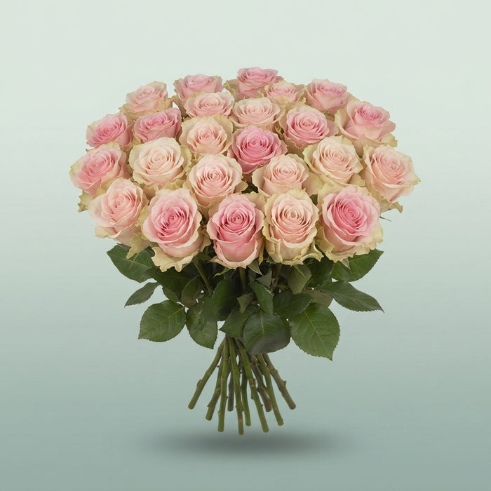 FeedSync:wholesale:0fb5114421de05ef1386805c433acb95d964085f