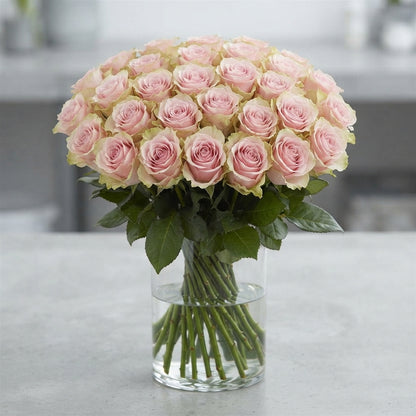 FeedSync:wholesale:dad9279774218f21ab1f1280fa40d99885f3cf1a