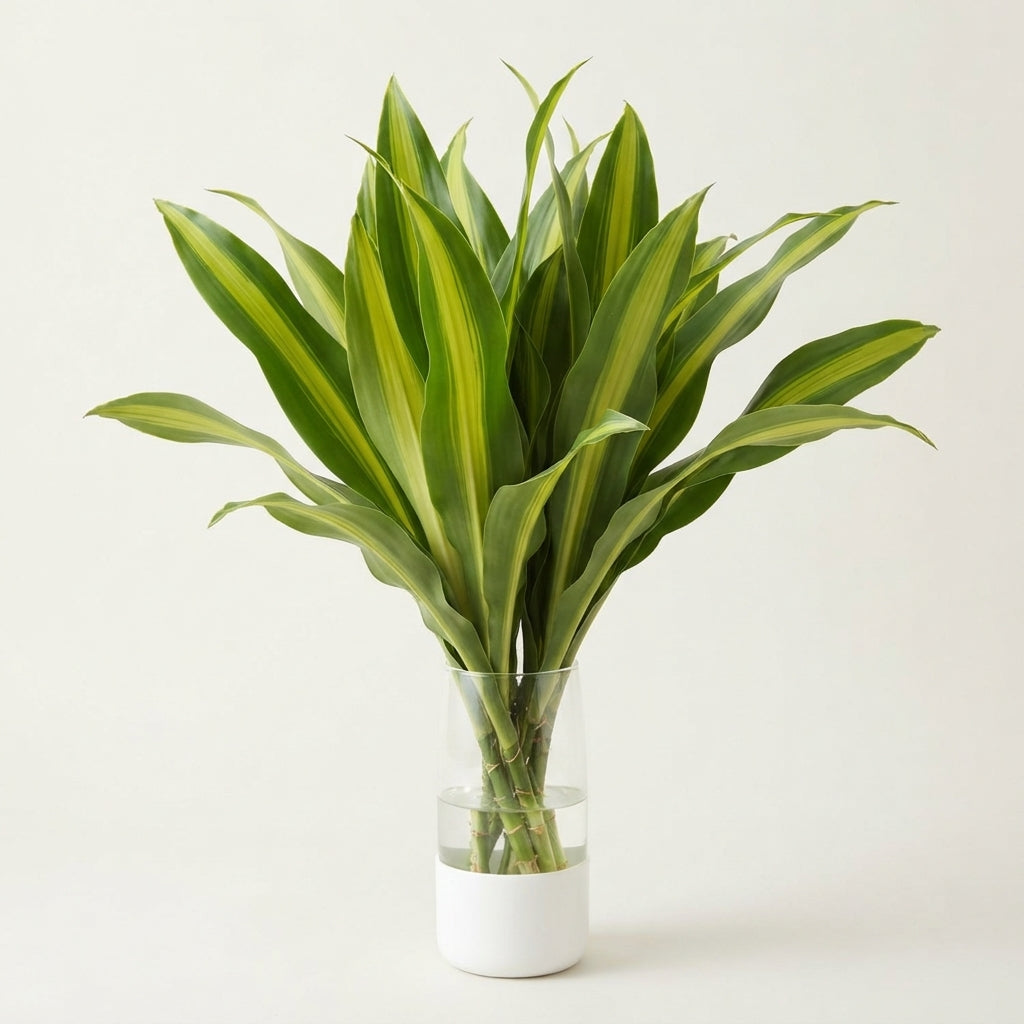 FeedSync:wholesale:a5d3429e58c78a3456b4f5f12213c86210f1de52